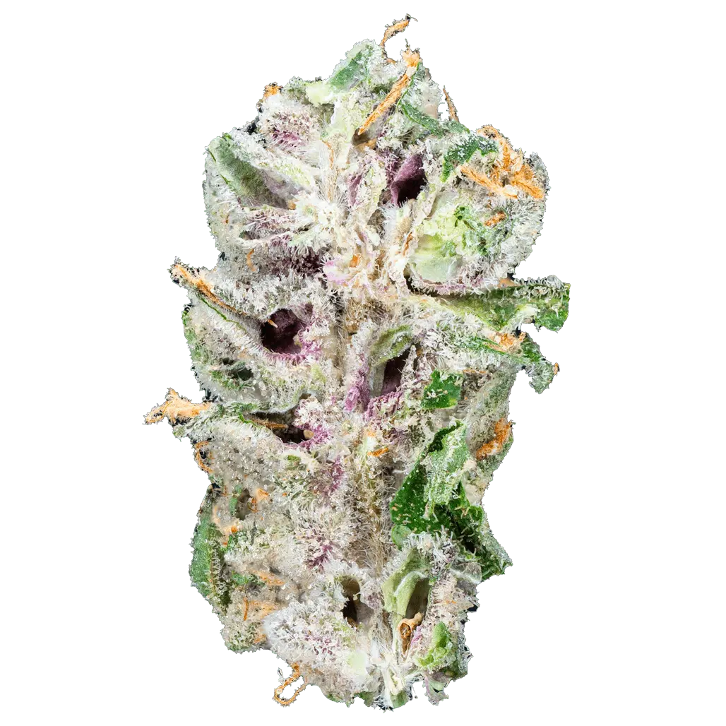 Alien ET THCa Flower - Image 16