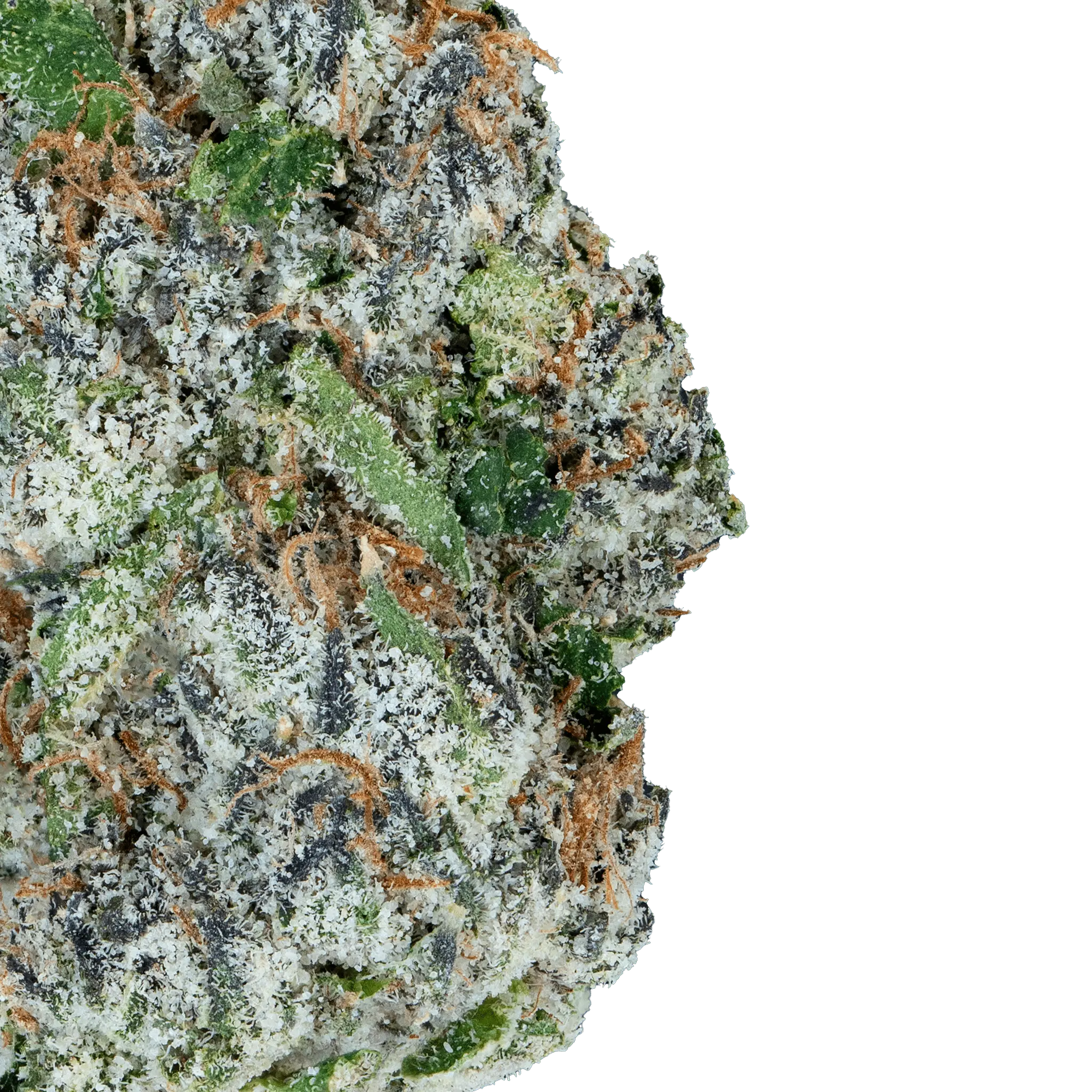 Alien ET THCa Flower - Image 19