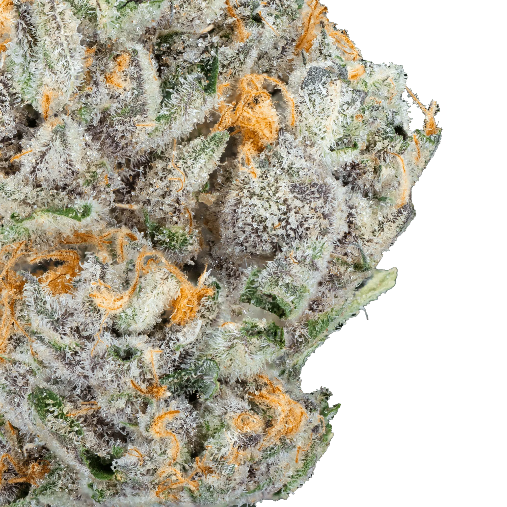 Alien ET THCa Flower - Image 21