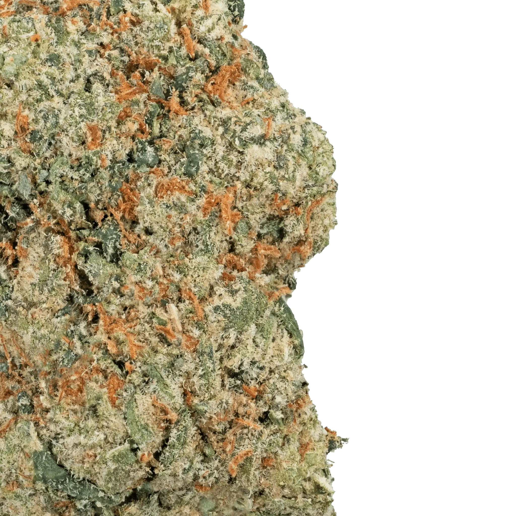 Apple Fritter THCa Flower - Image 12