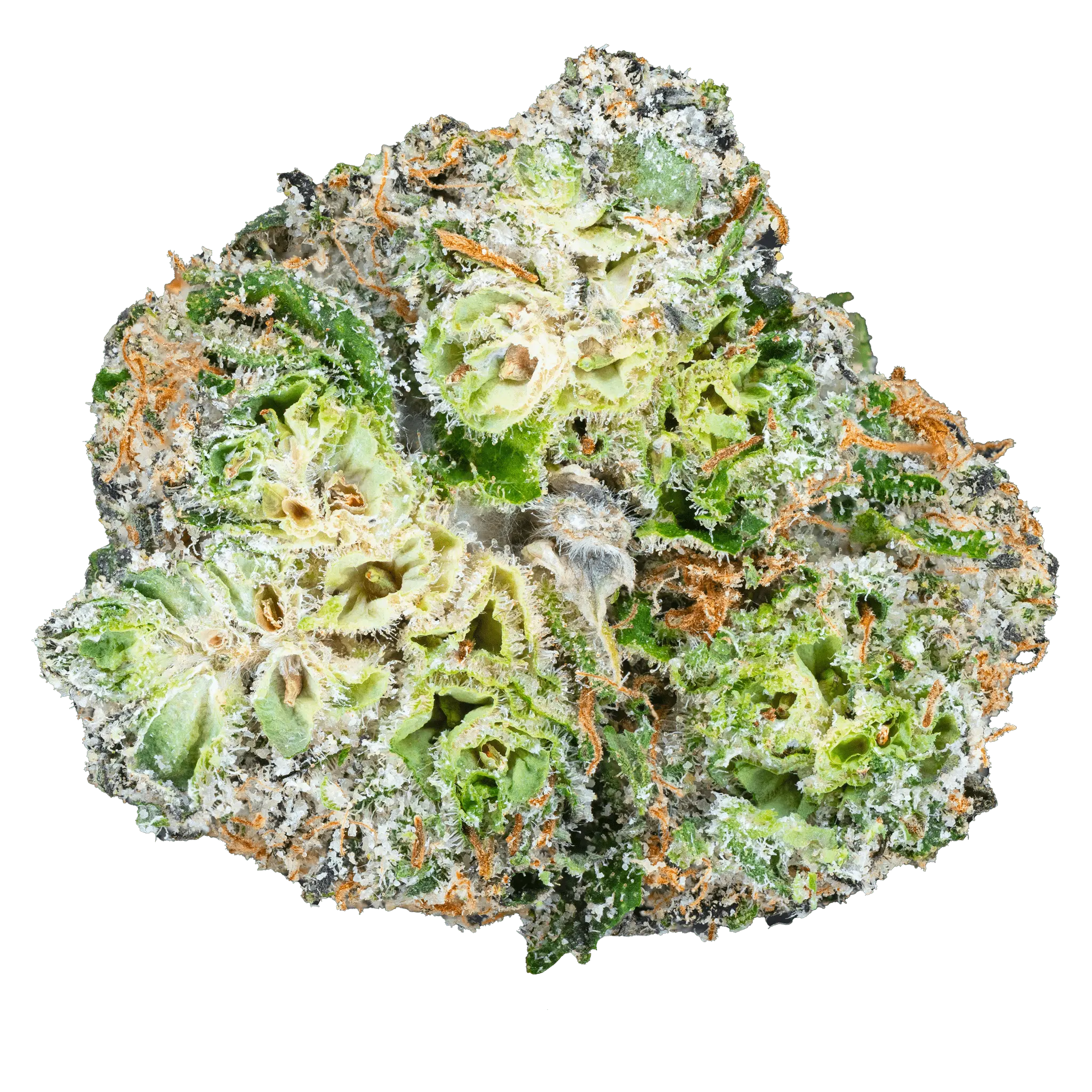 Apple Fritter THCa Flower - Image 9