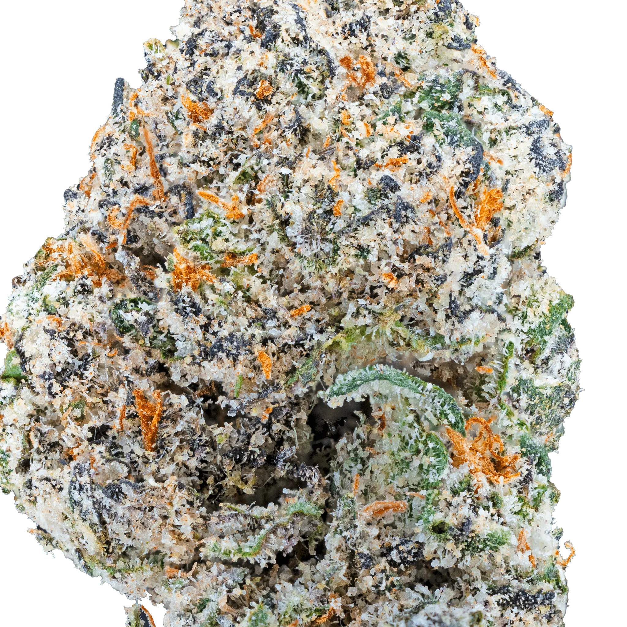 Blue Cherry Gelato THCa Flower - Image 8