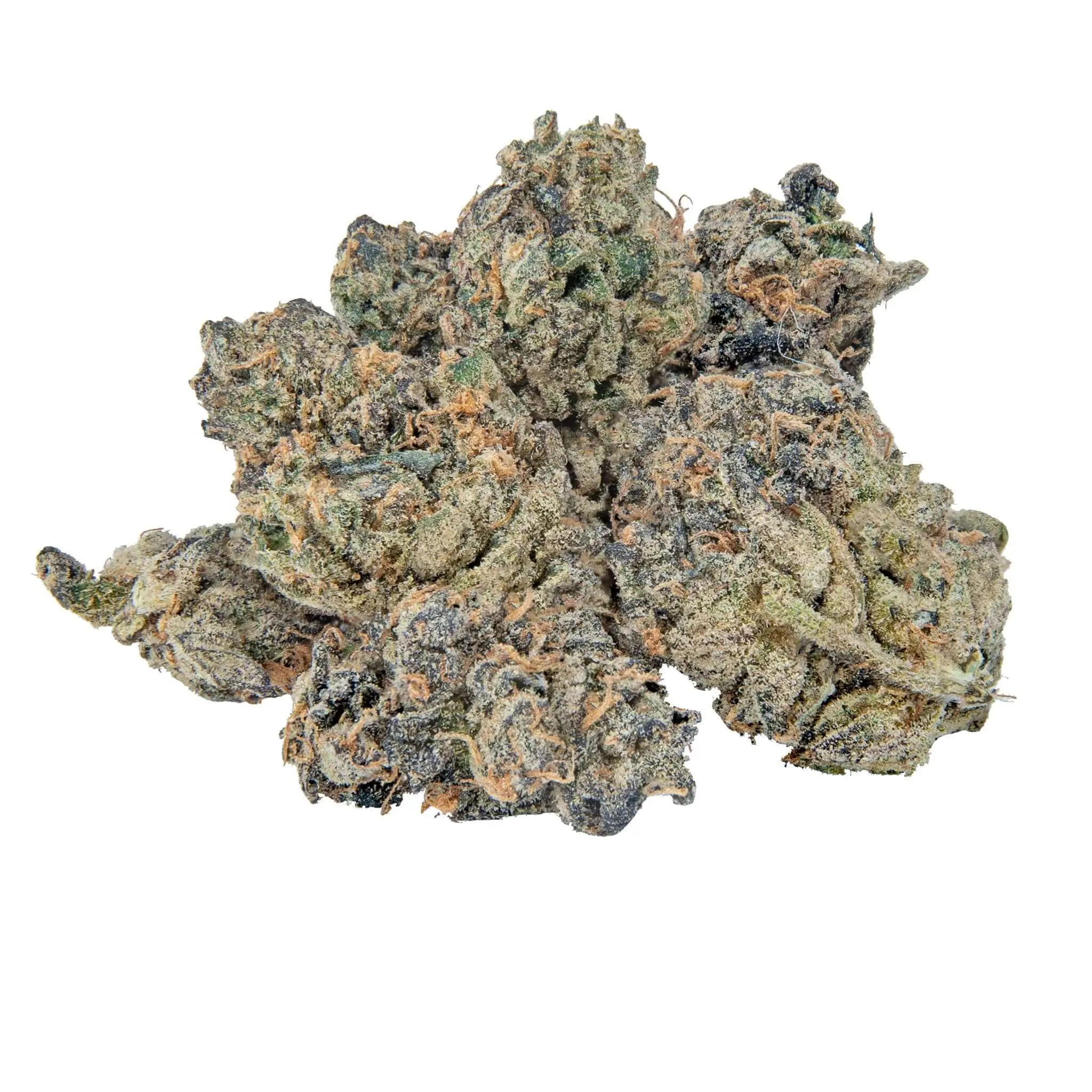 Bulk Mixlight Smalls - Image 11