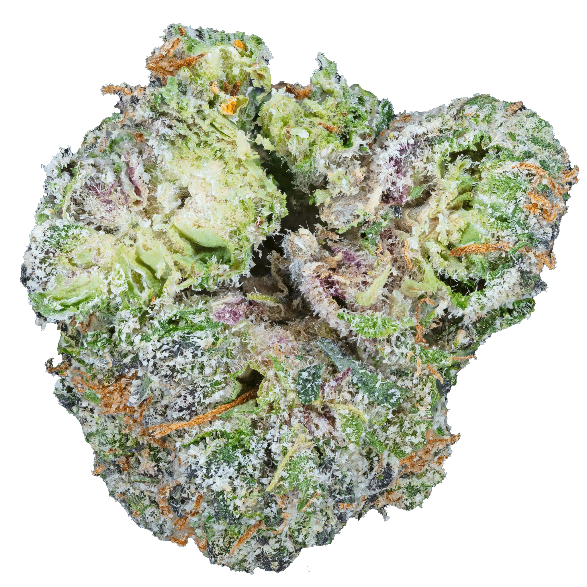 Cherry Zashimi THCa Flower - Image 18