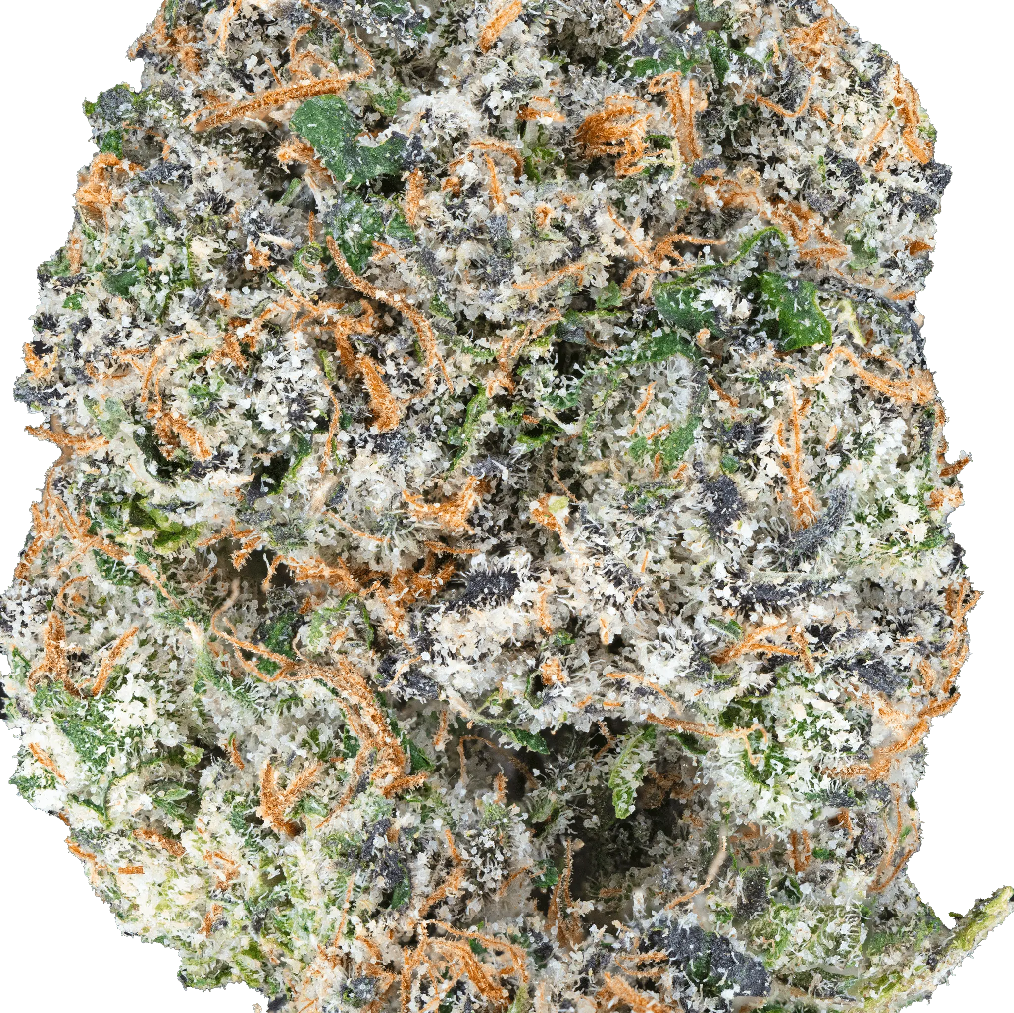 Cherry Zashimi THCa Flower - Image 19