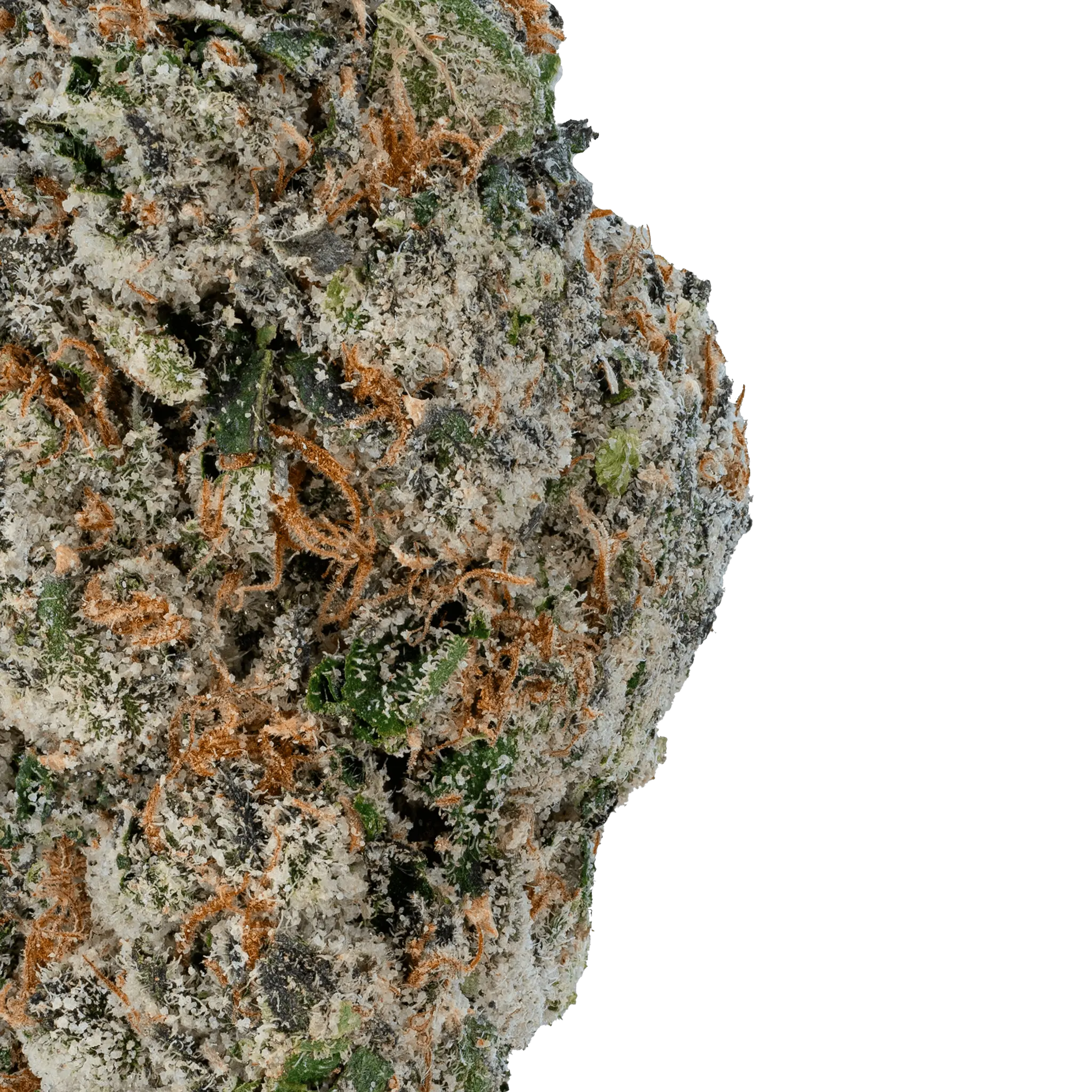 Cherry Zashimi THCa Flower - Image 21