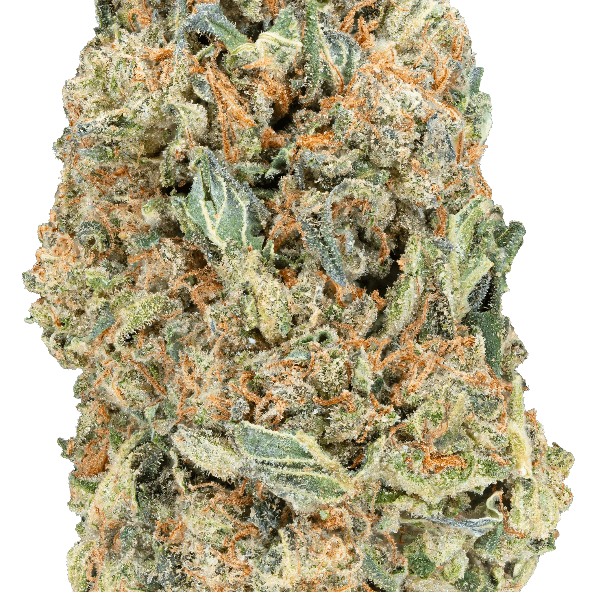 Greenhouse THCa Flower - Image 8
