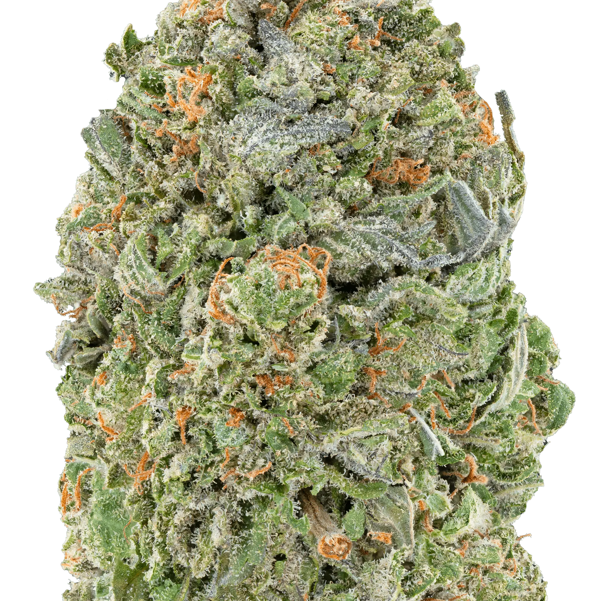 MixLight Greenhouse THCa Flower - Image 8