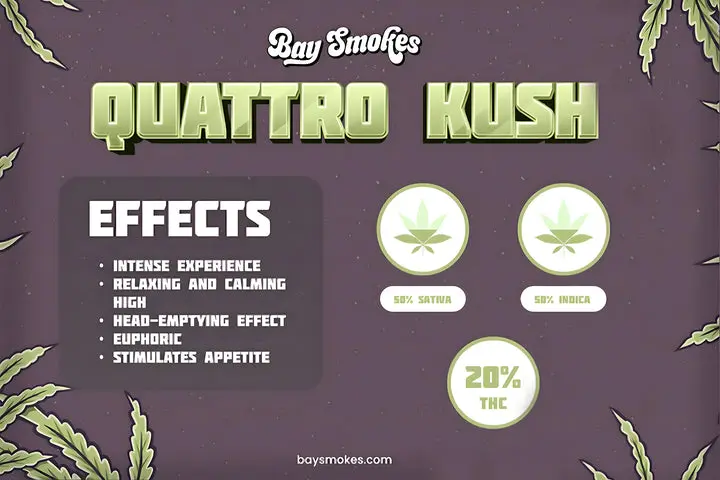 Orange Push Pop- THCa Flower - Image 25