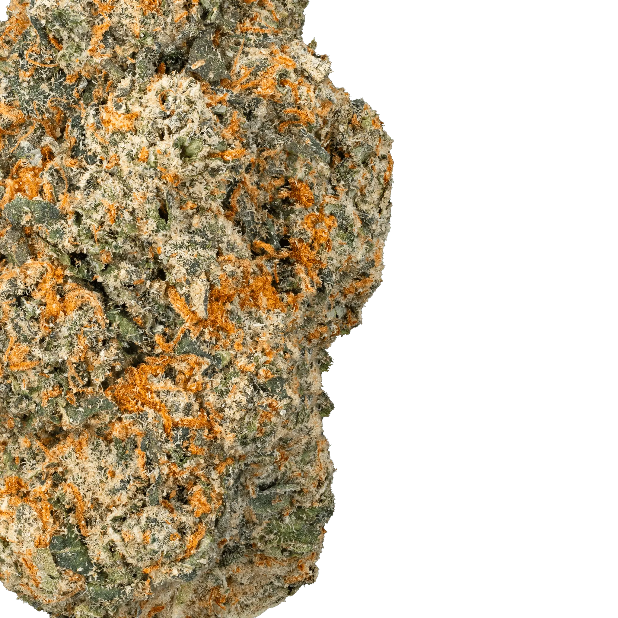 Orange Push Pop- THCa Flower - Image 28