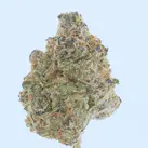 Orange Push Pop- THCa Flower - Image 9