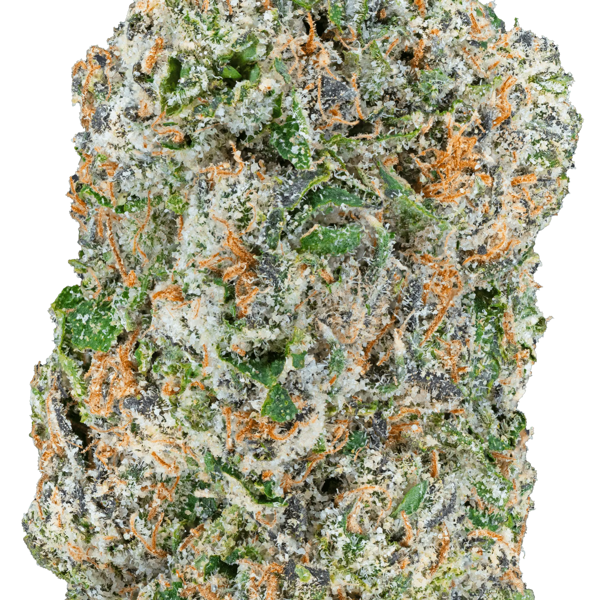 Quattro Kush THCa Flower - Image 8