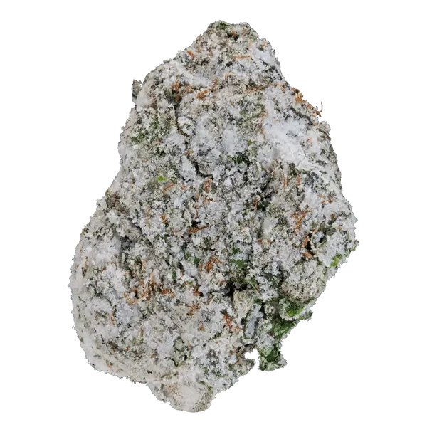 Snowballs THCa Flower - Image 16