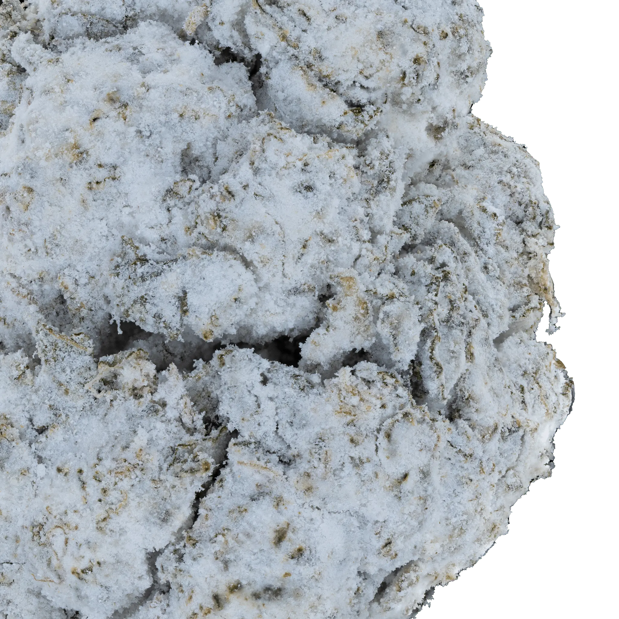 Snowballs THCa Flower - Image 18