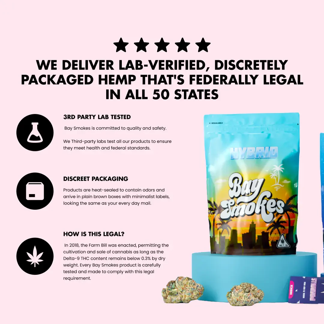 Baysentials - Image 3