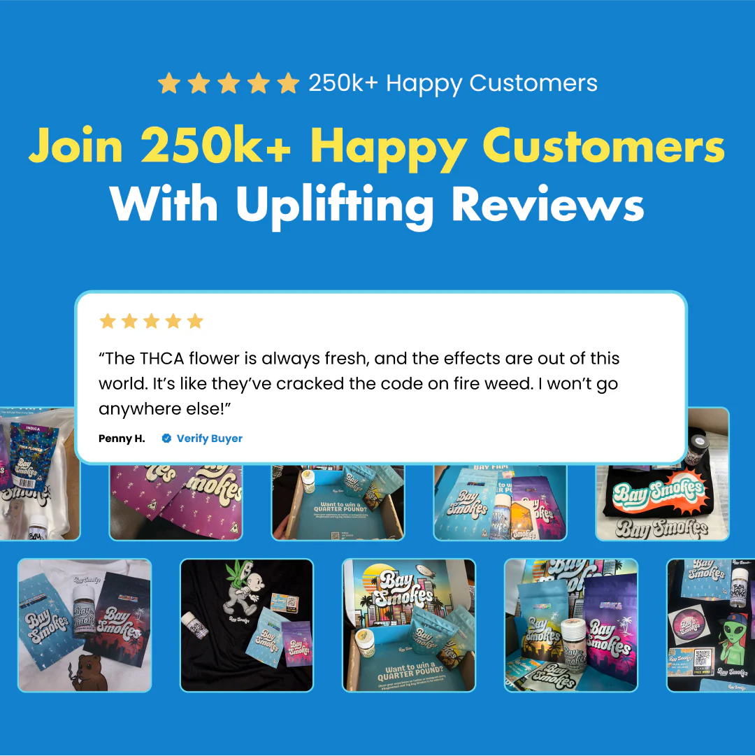 Baysentials - Image 5