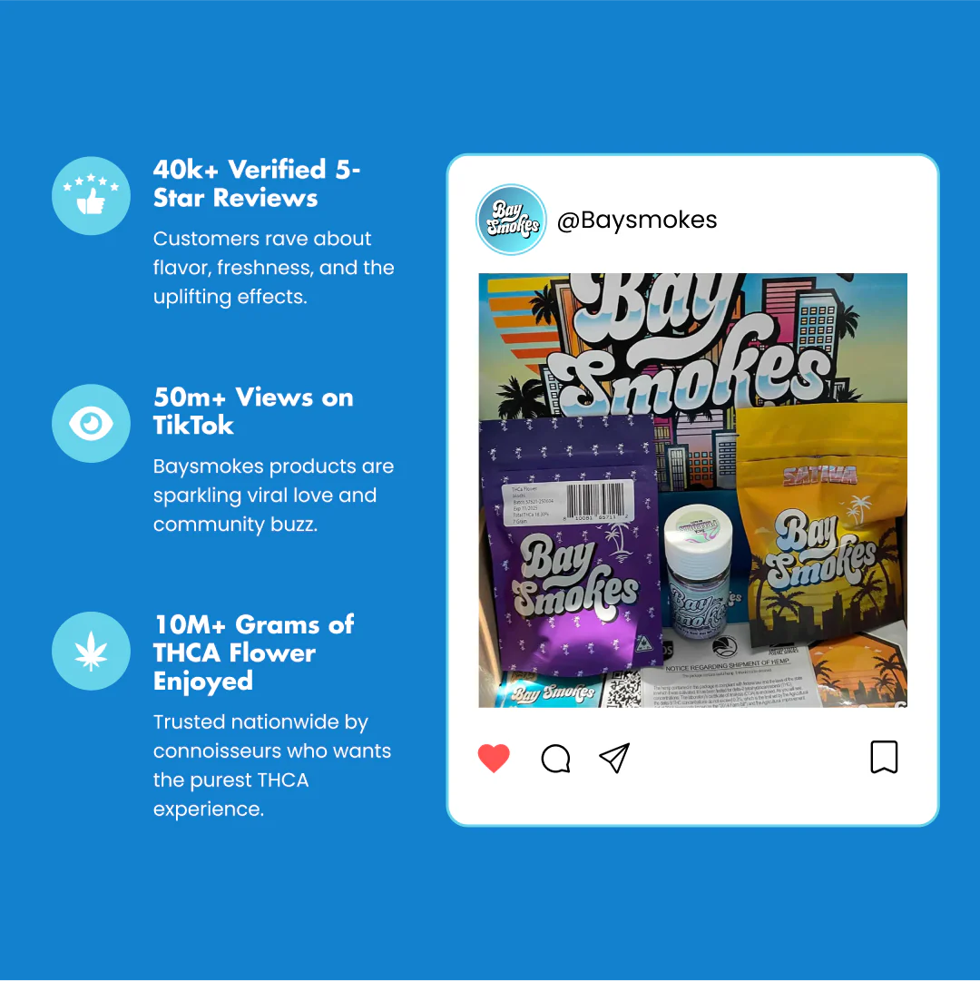 Baysentials - Image 6