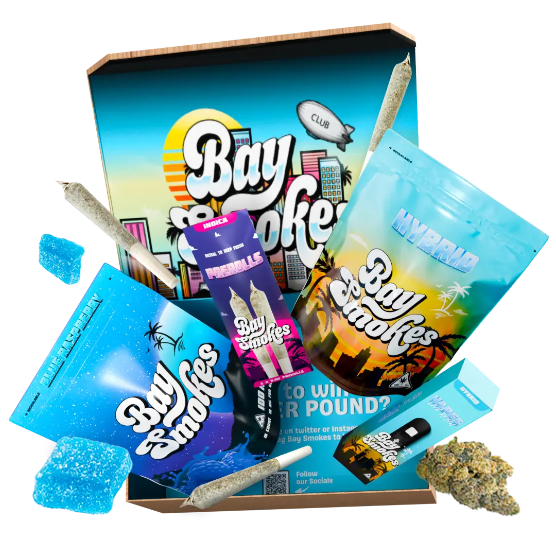 Baysentials - Image 8