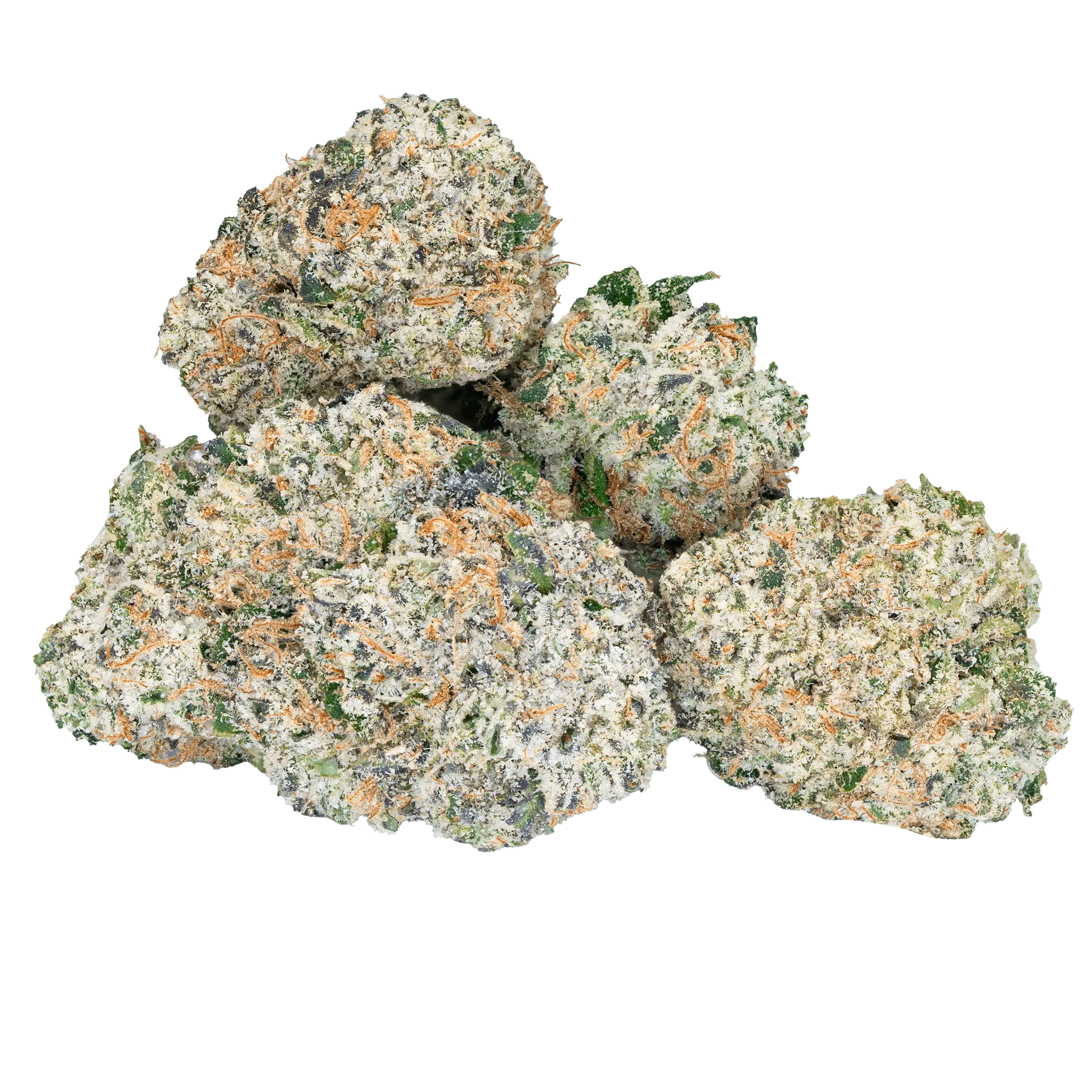 Thai Iced Tea- THCa Flower - Image 18