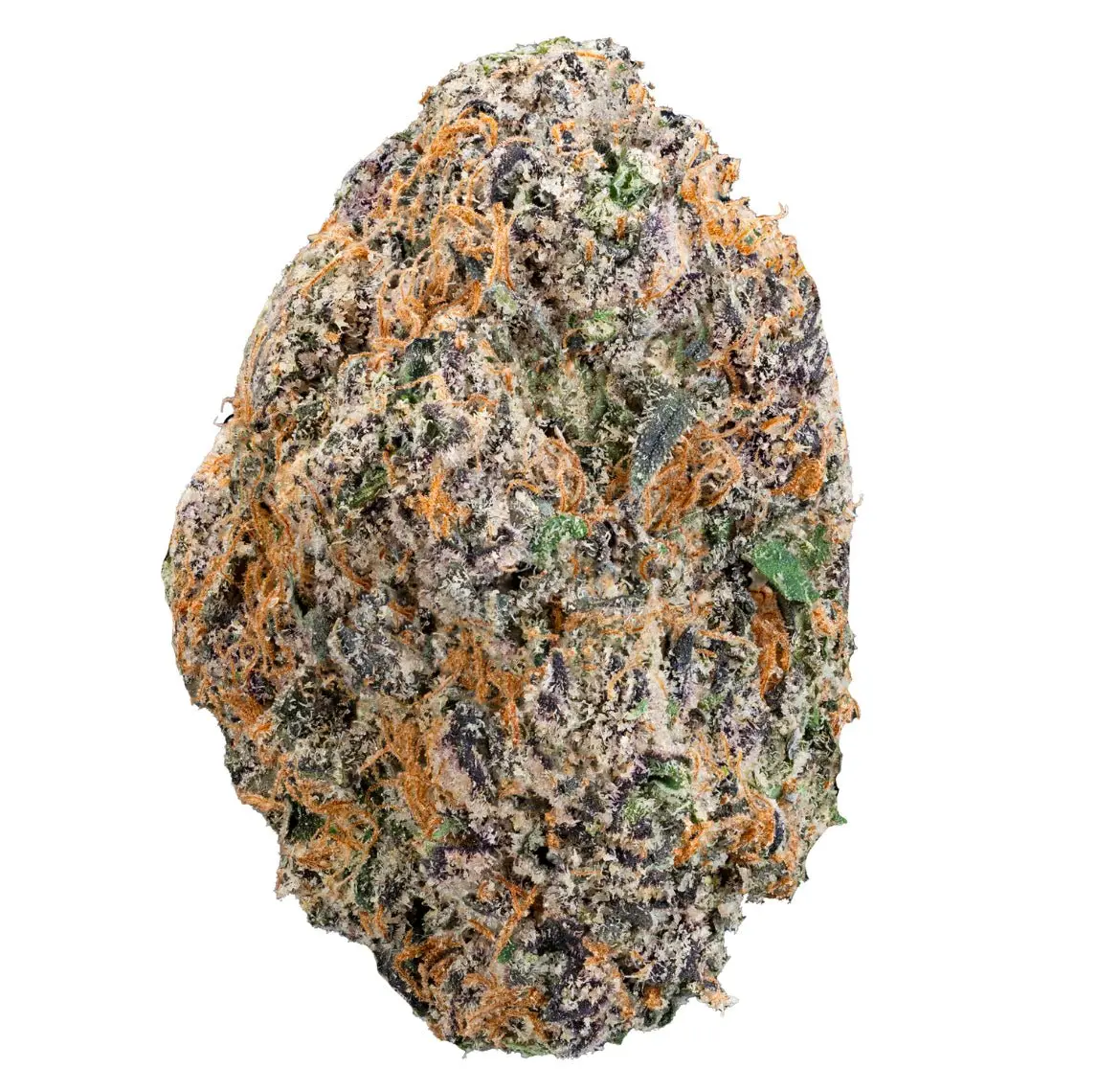 Thai Iced Tea- THCa Flower - Image 19