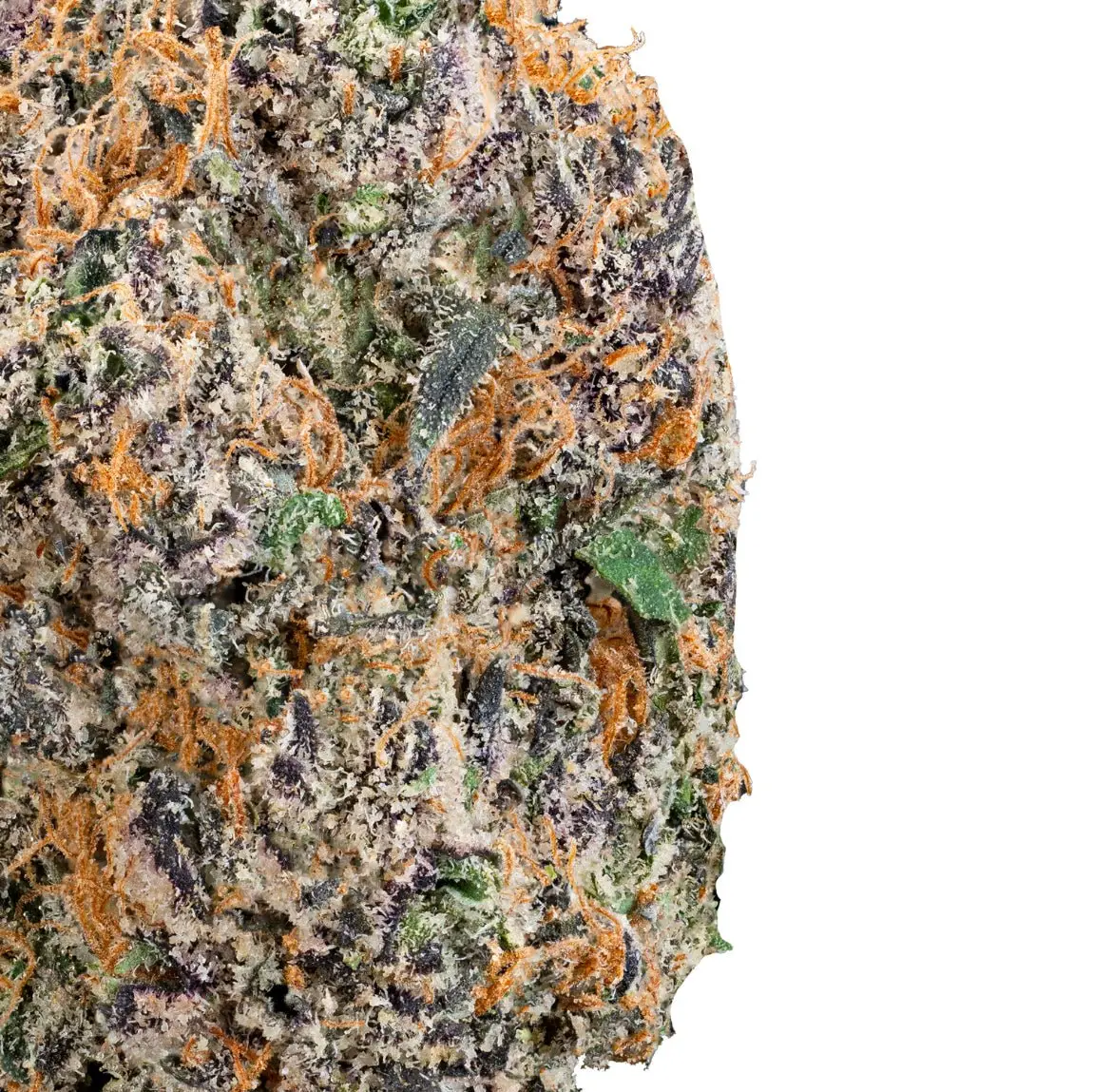 Thai Iced Tea- THCa Flower - Image 20