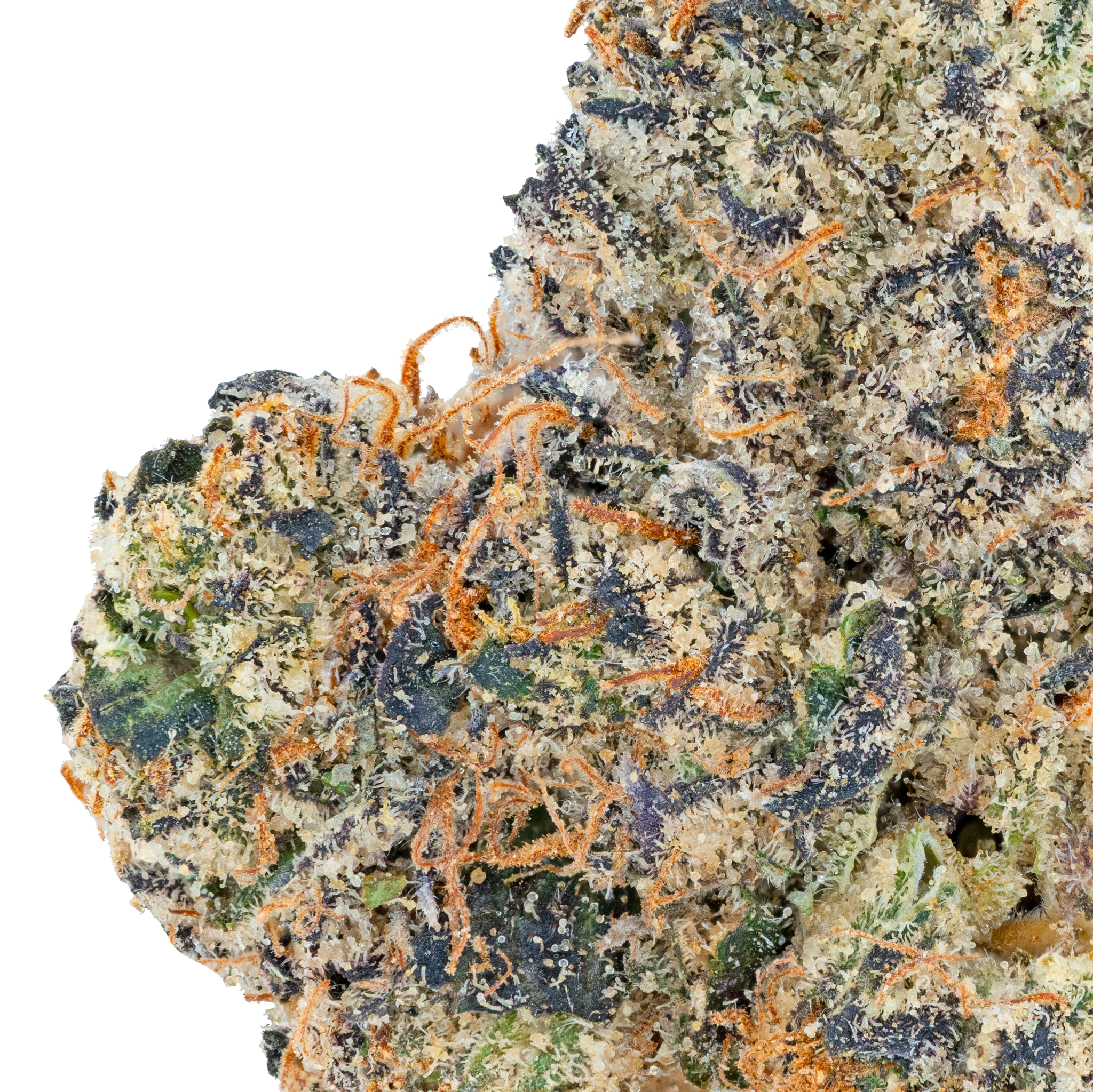 Thai Iced Tea- THCa Flower - Image 8