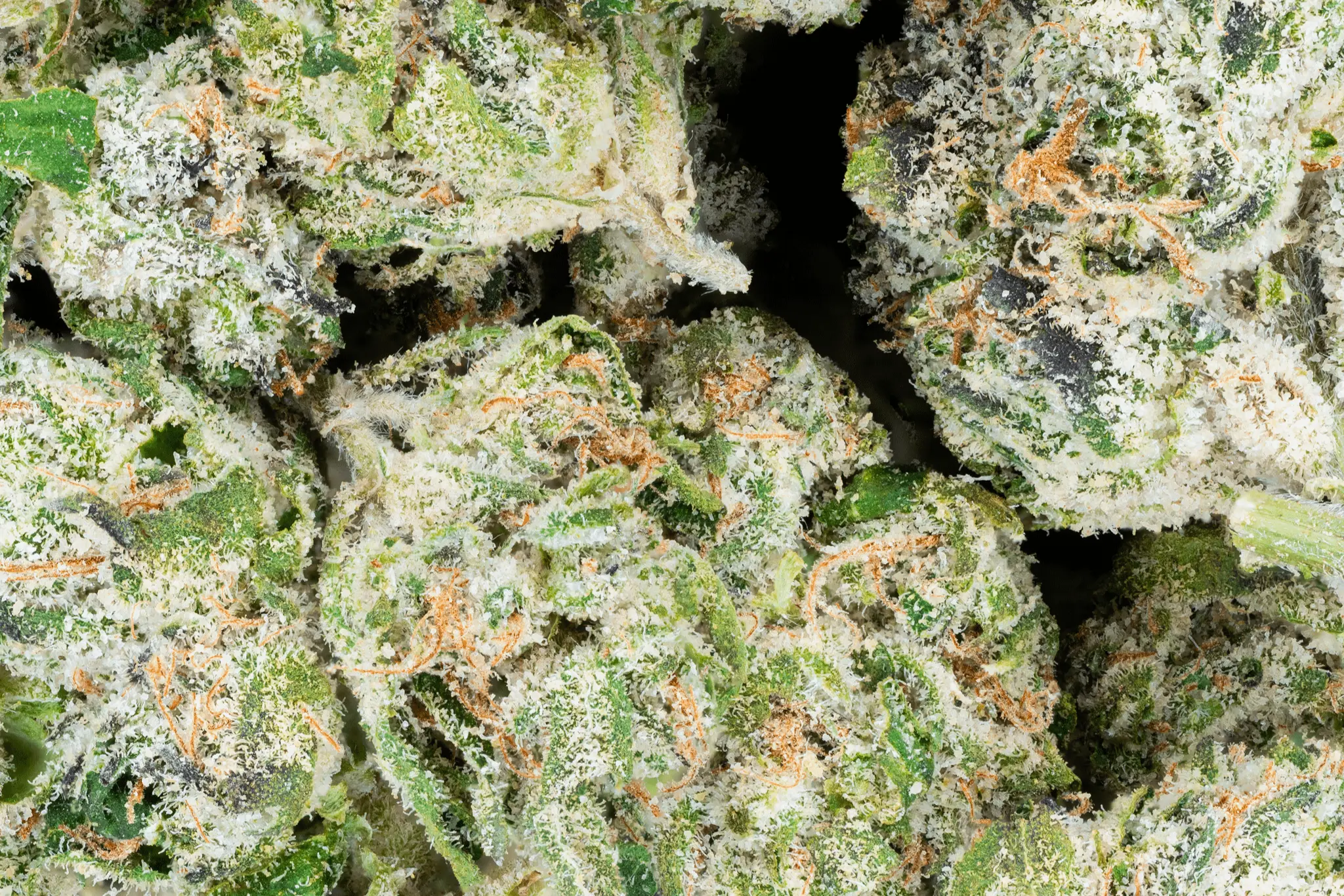 THCa Exotic Smalls - Image 8