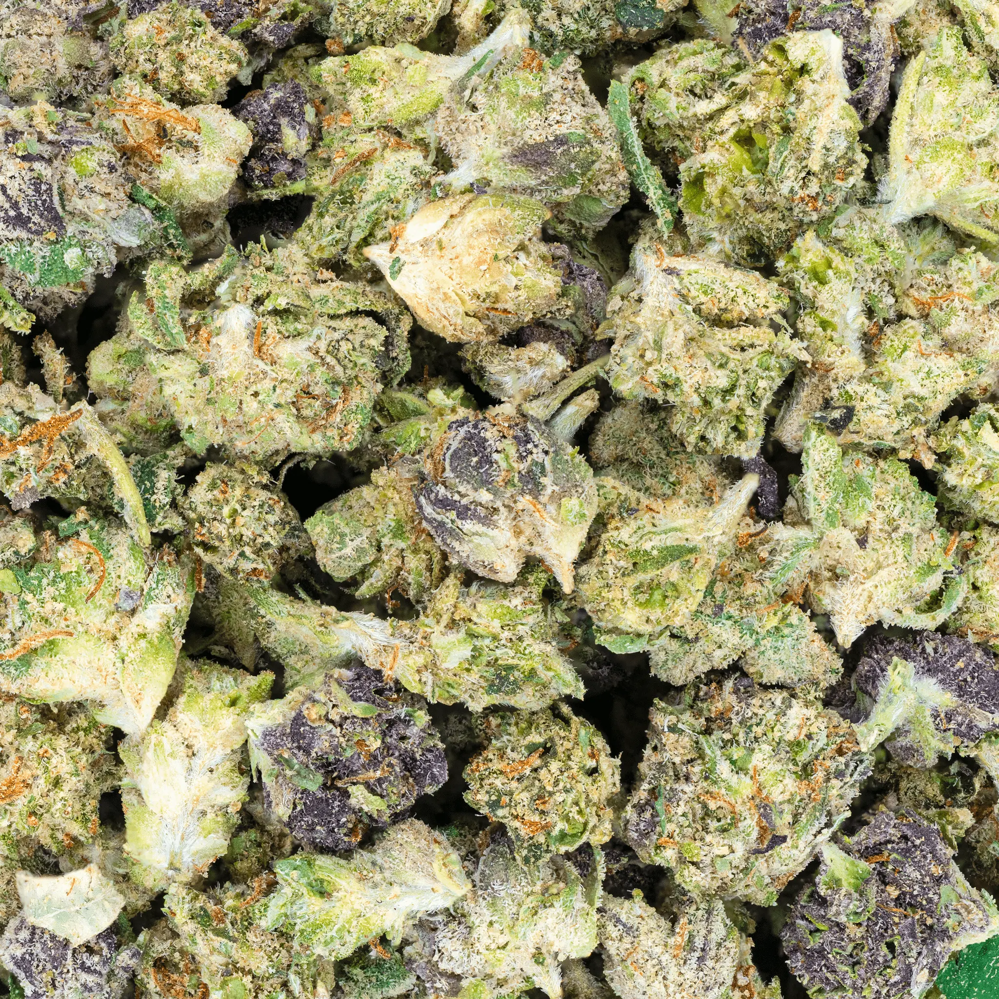 THCa Indoor Micros - Image 8