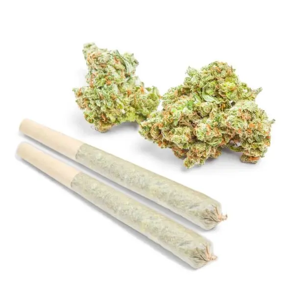 THCa Prerolls - Image 8