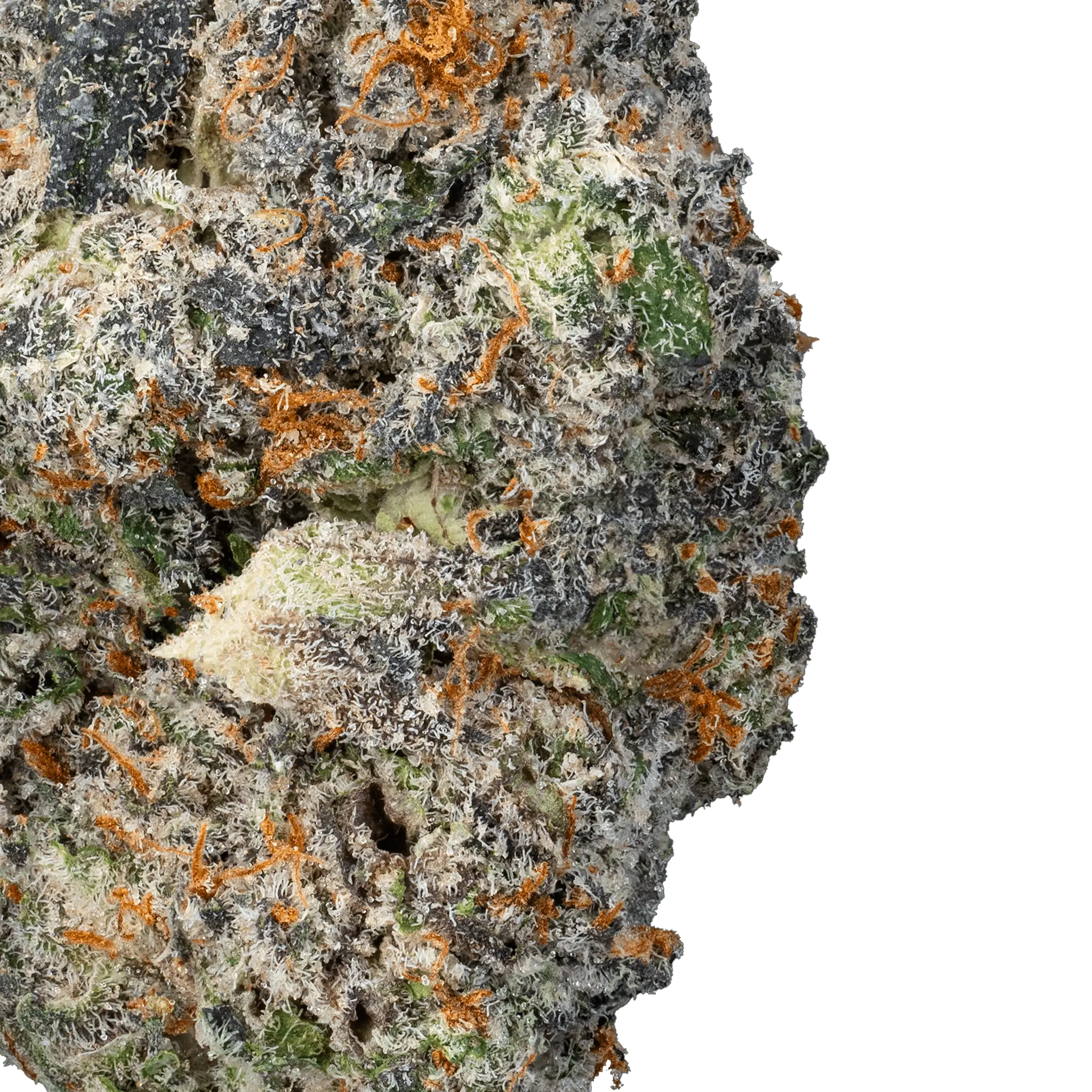 Space Junky – THCa Flower - Image 15