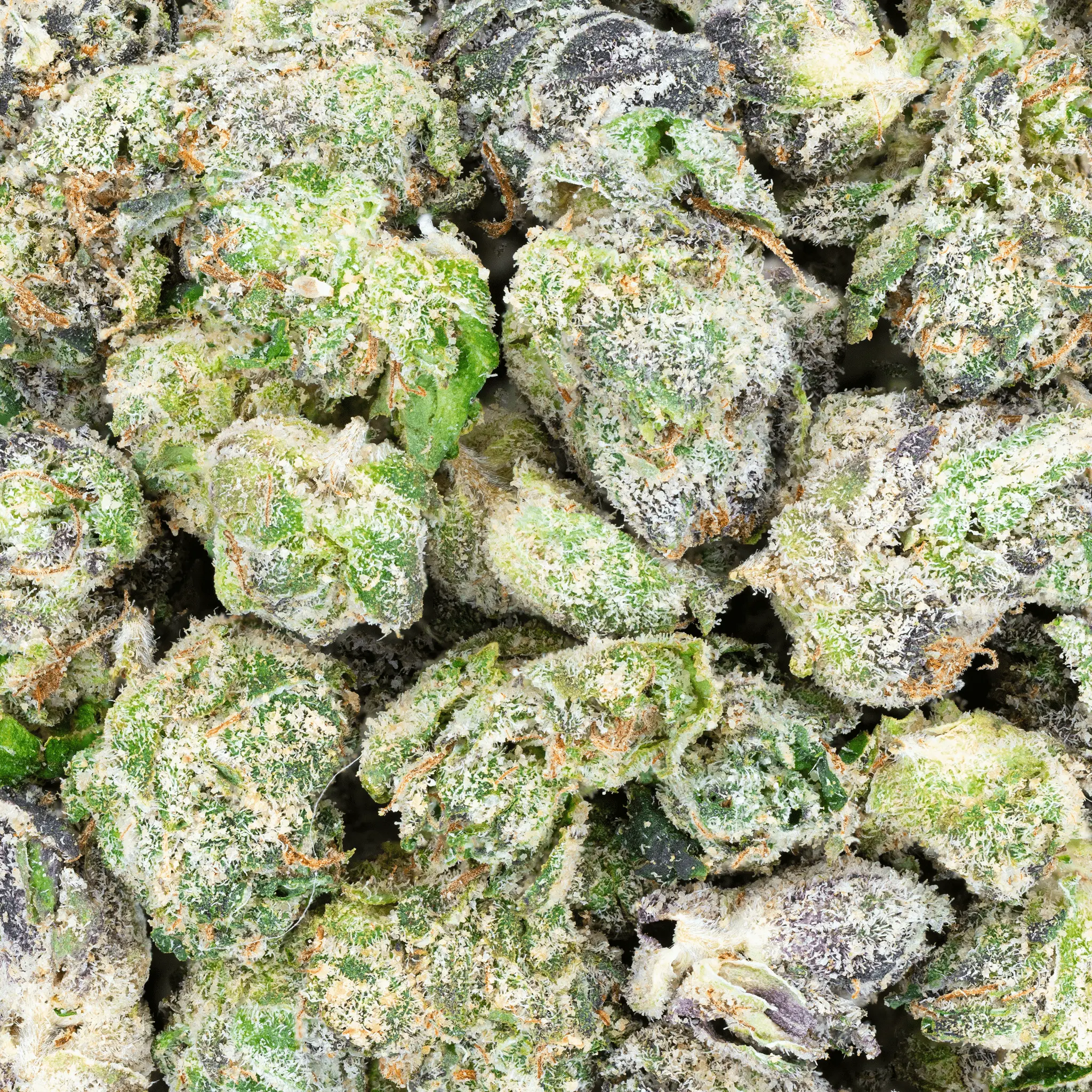 THCa Super Exotic Smalls - Image 8