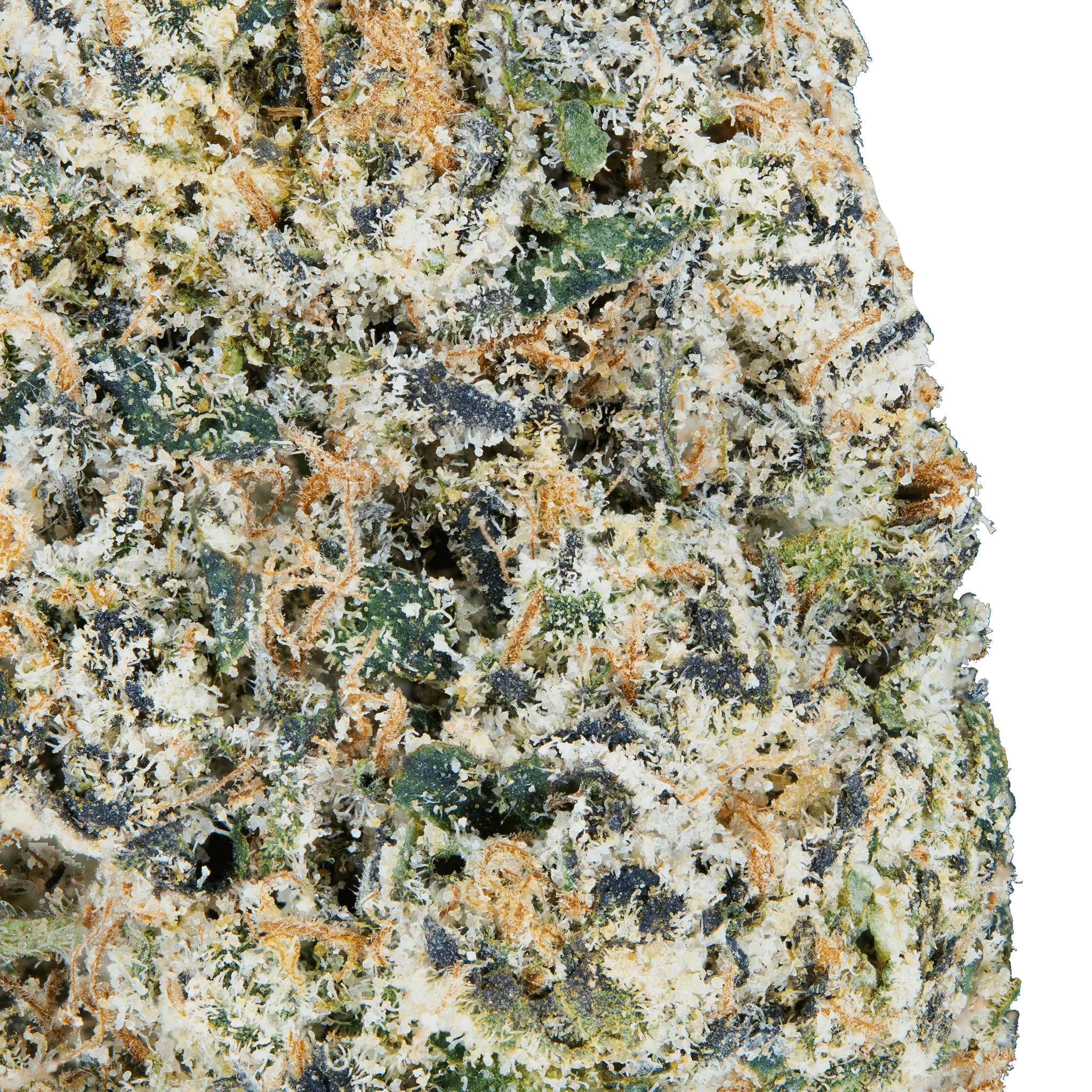 Tres Leches THCa Flower - Image 16