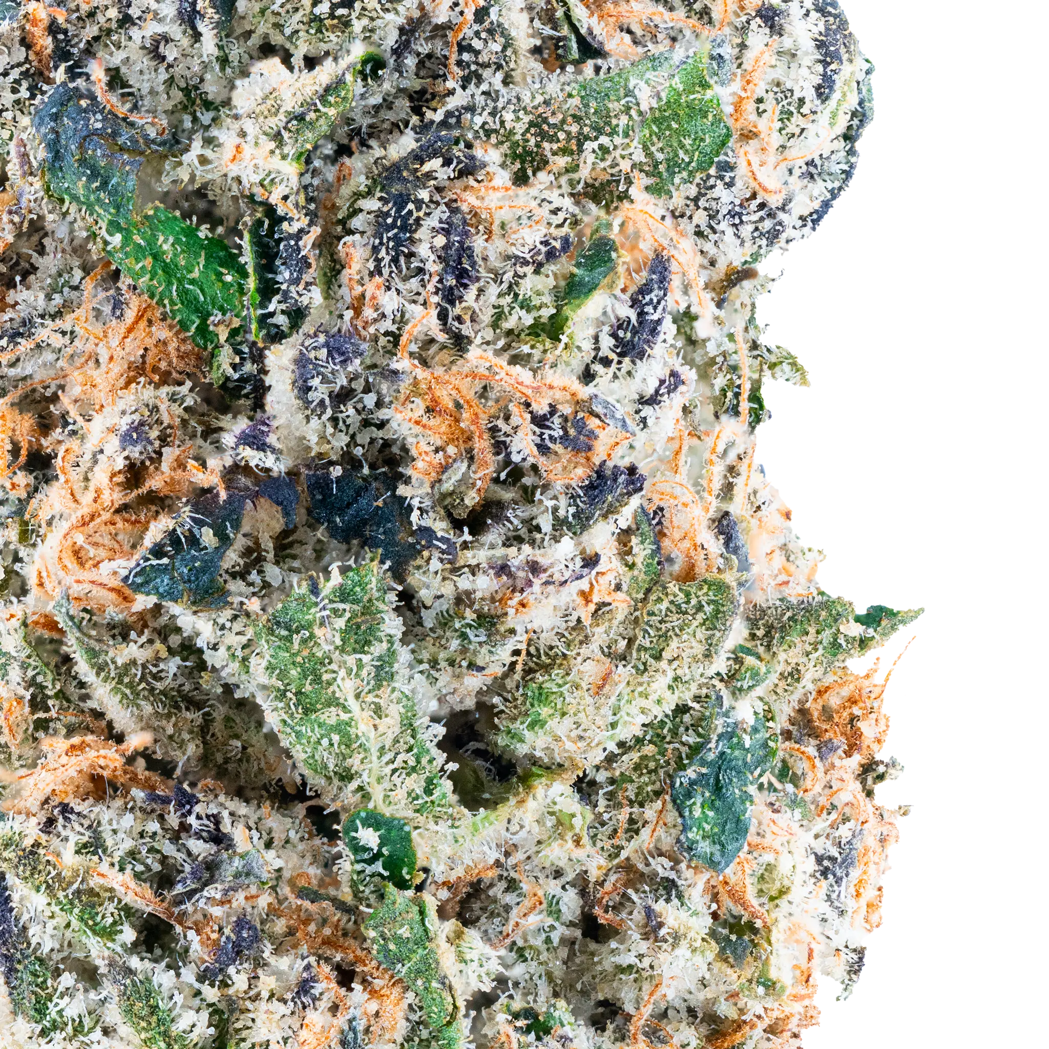 Tres Leches THCa Flower - Image 8