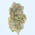 Tres Leches THCa Flower - Image 9