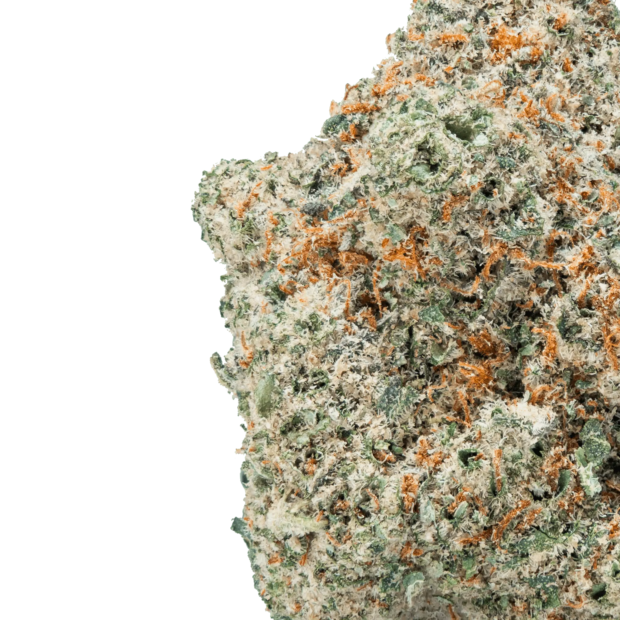 Trop Cherries – THCa Flower - Image 8