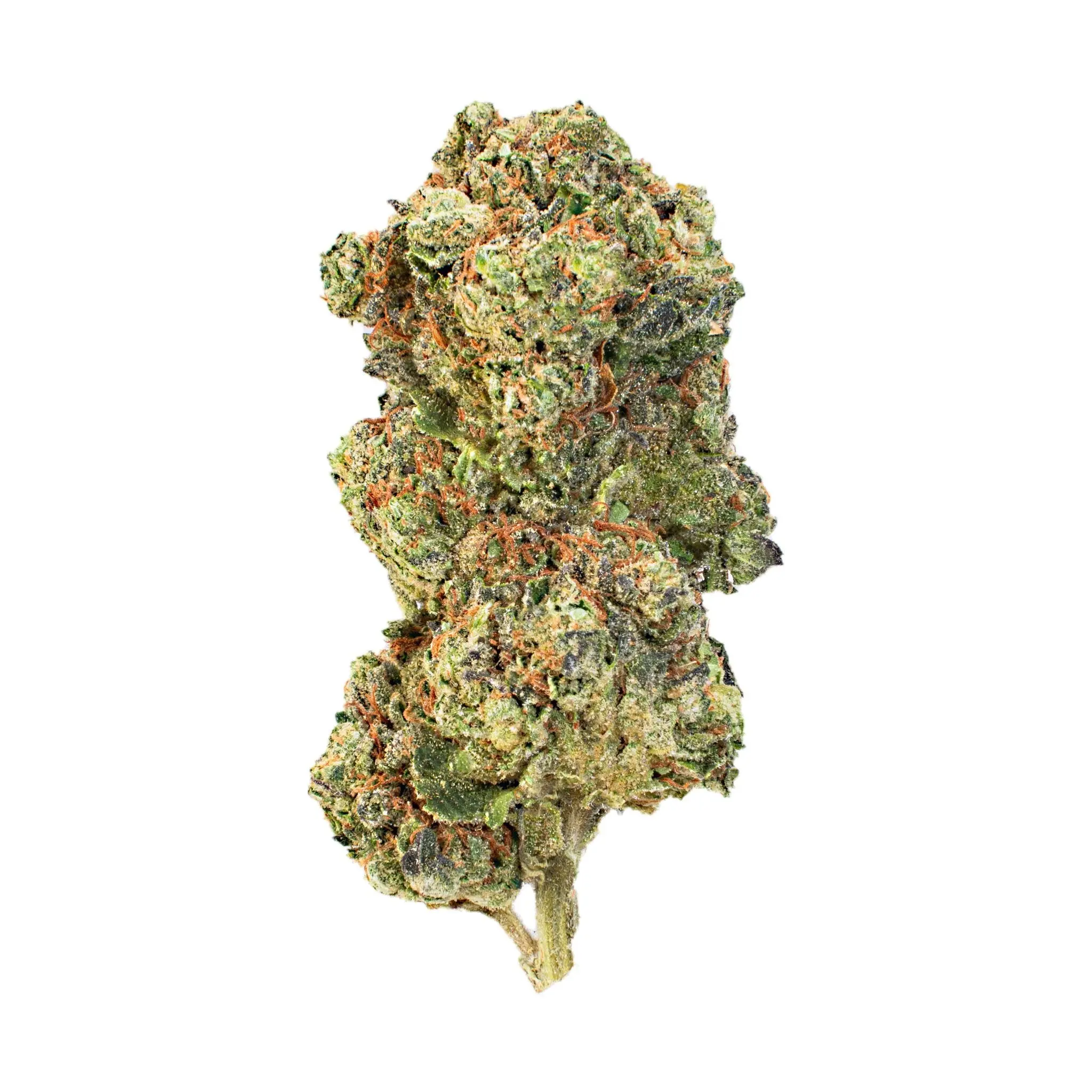 Vorpal Cherry Aurora THCa Flower - Image 19