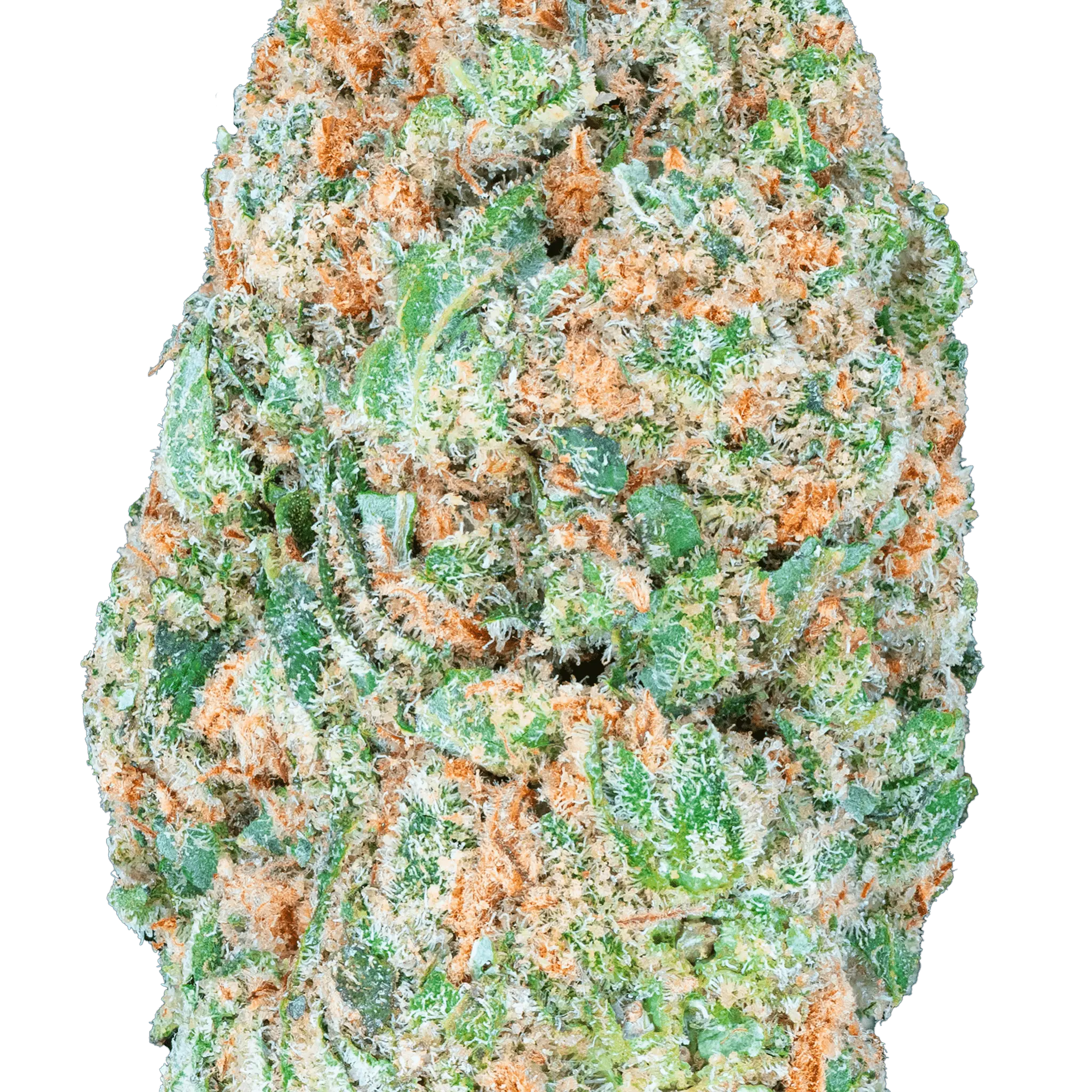 Vorpal Cherry Aurora THCa Flower - Image 8
