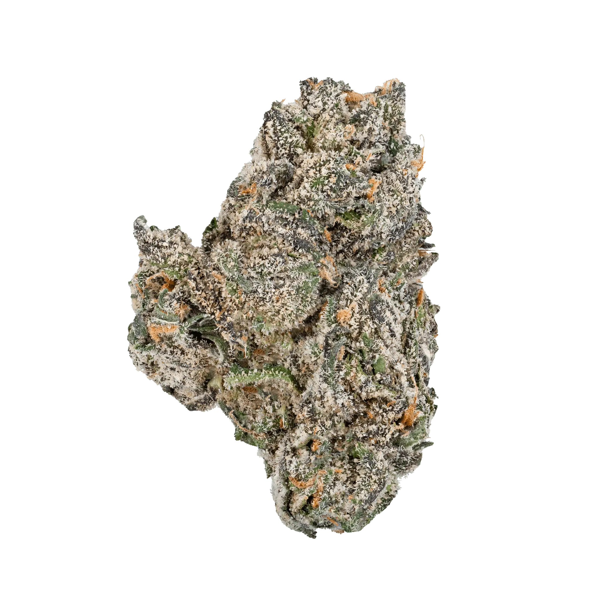 White Truffle THCa Flower - Image 15
