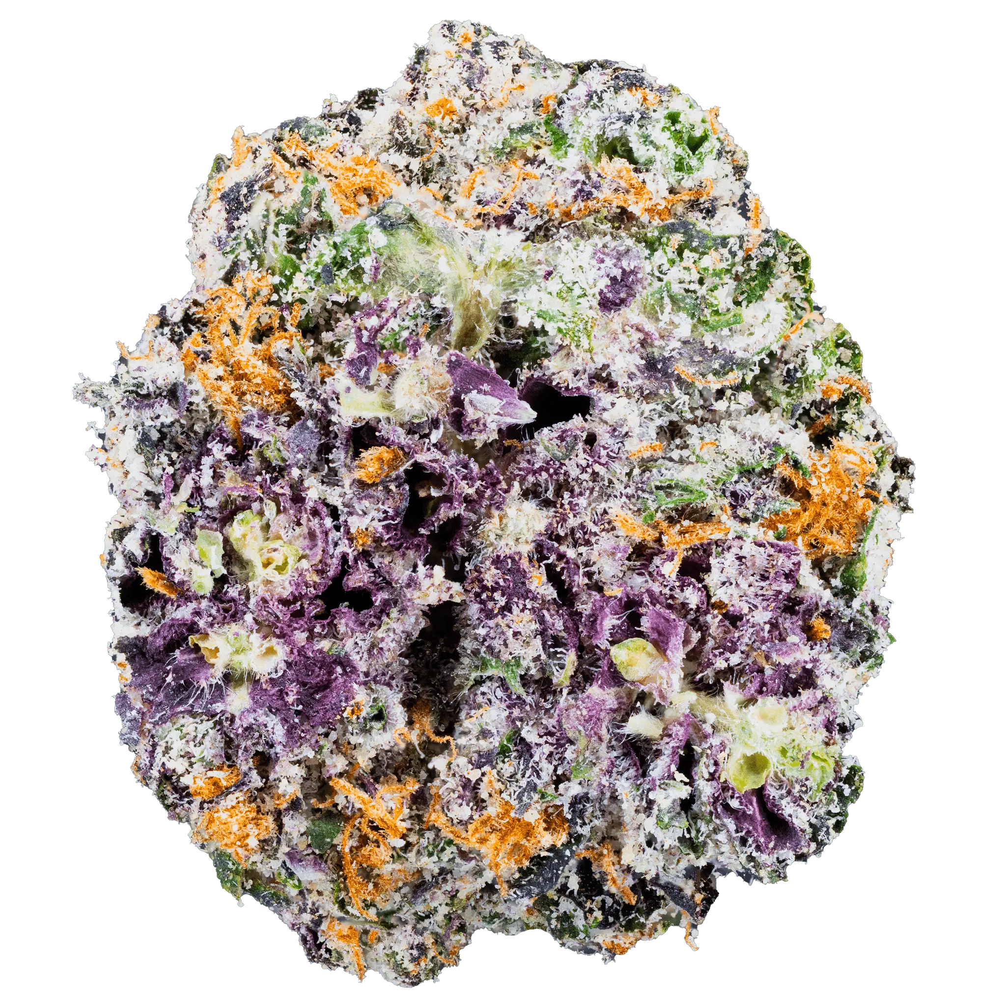 White Truffle THCa Flower - Image 17