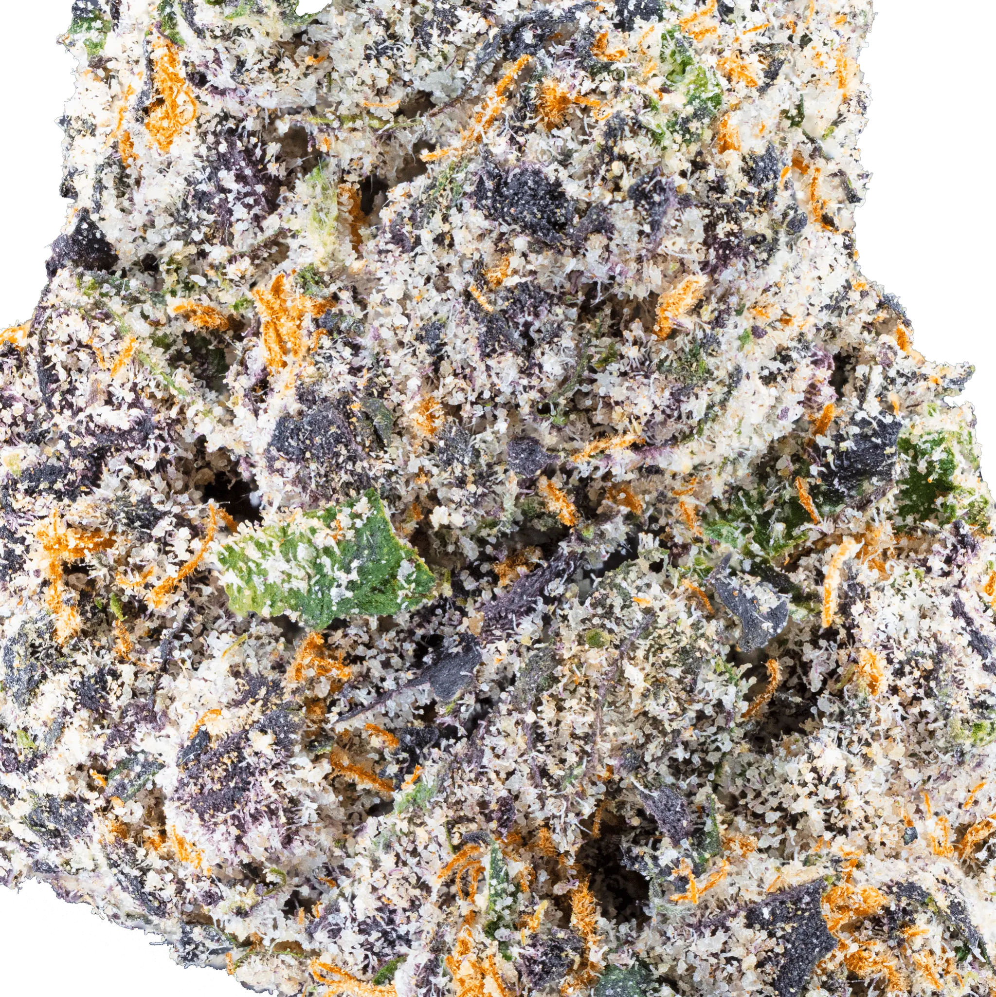 White Truffle THCa Flower - Image 19