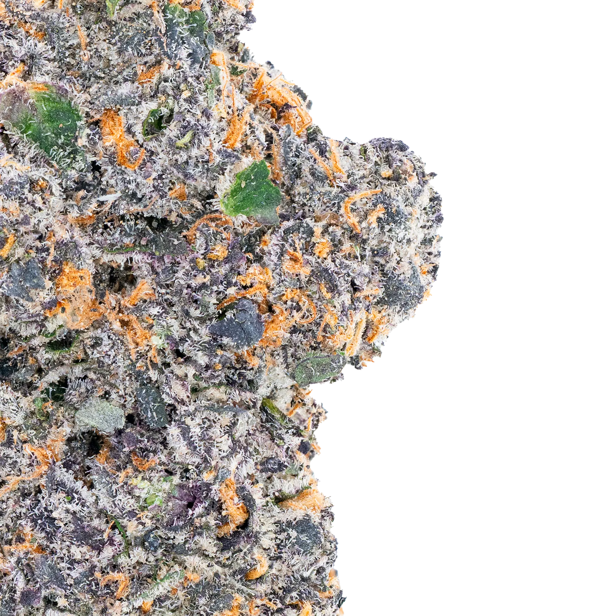 White Truffle THCa Flower - Image 8