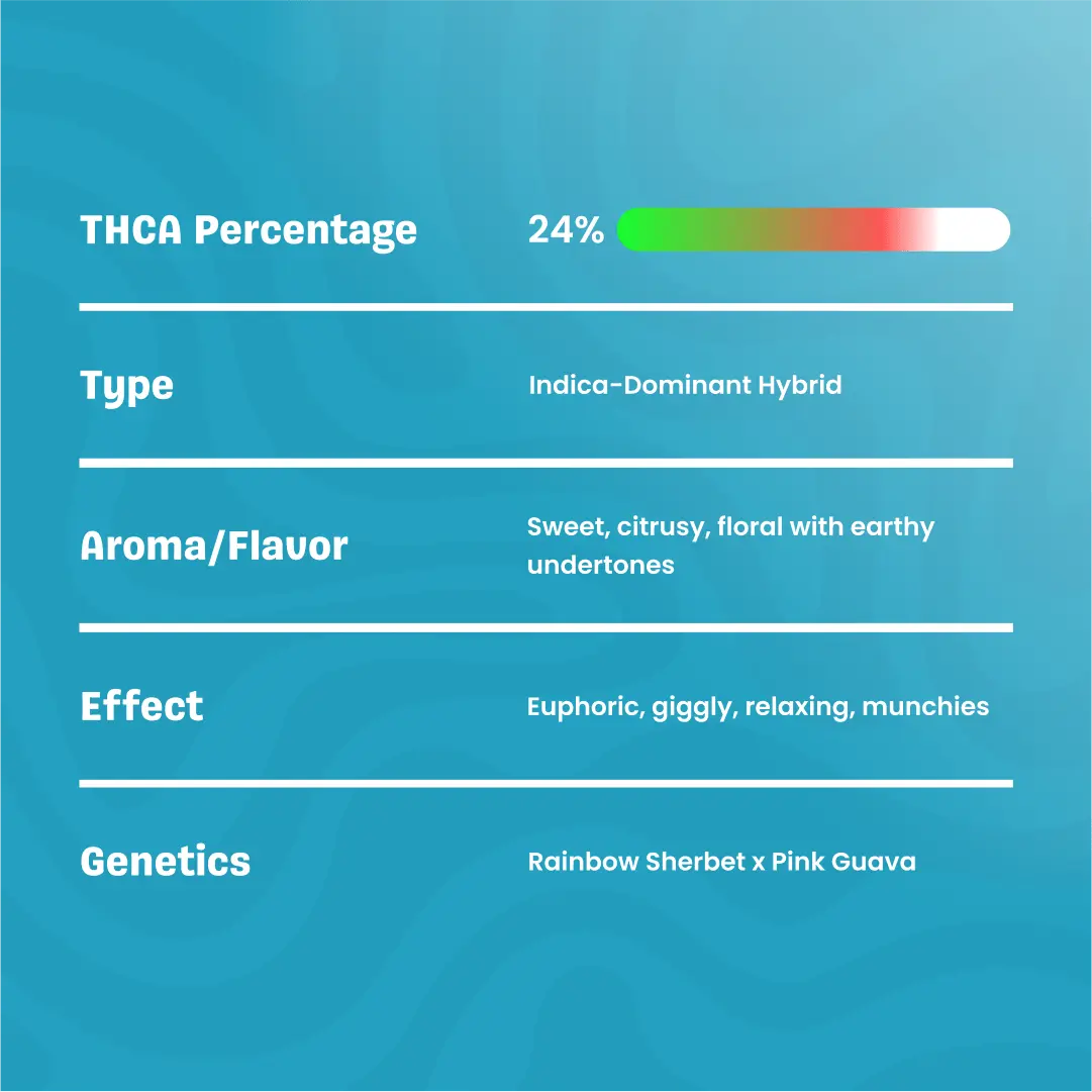 Zoap – THCa Flower - Image 16