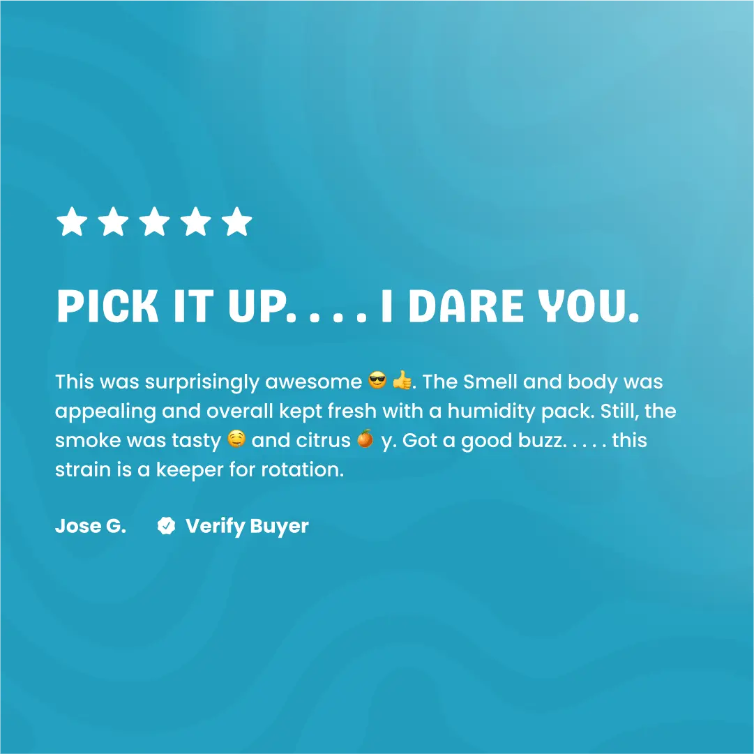 Zoap – THCa Flower - Image 17