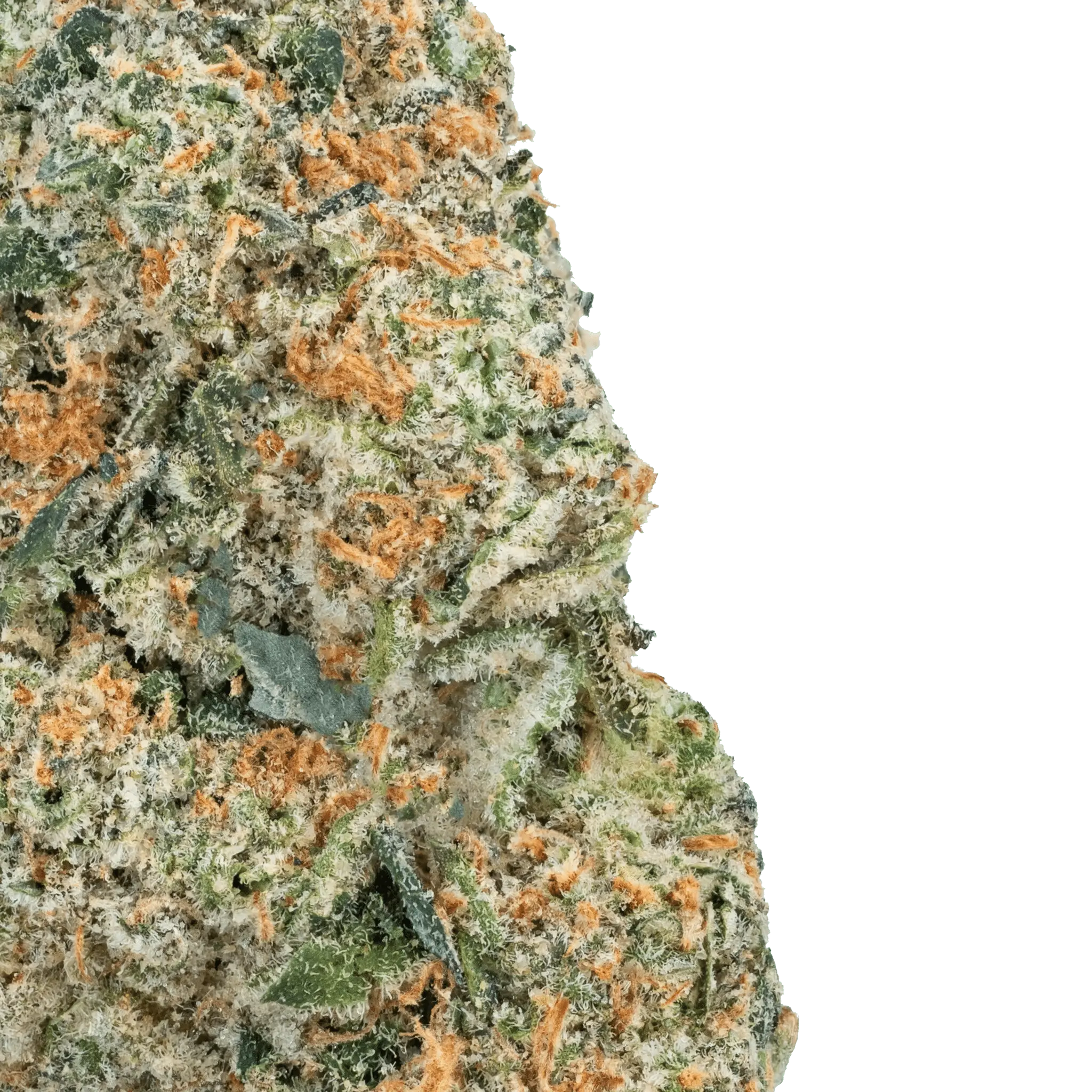 Zoap – THCa Flower - Image 20