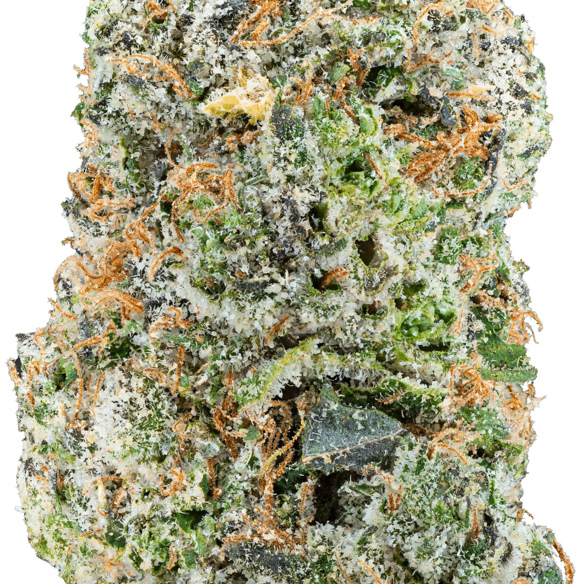 Zoap – THCa Flower - Image 8