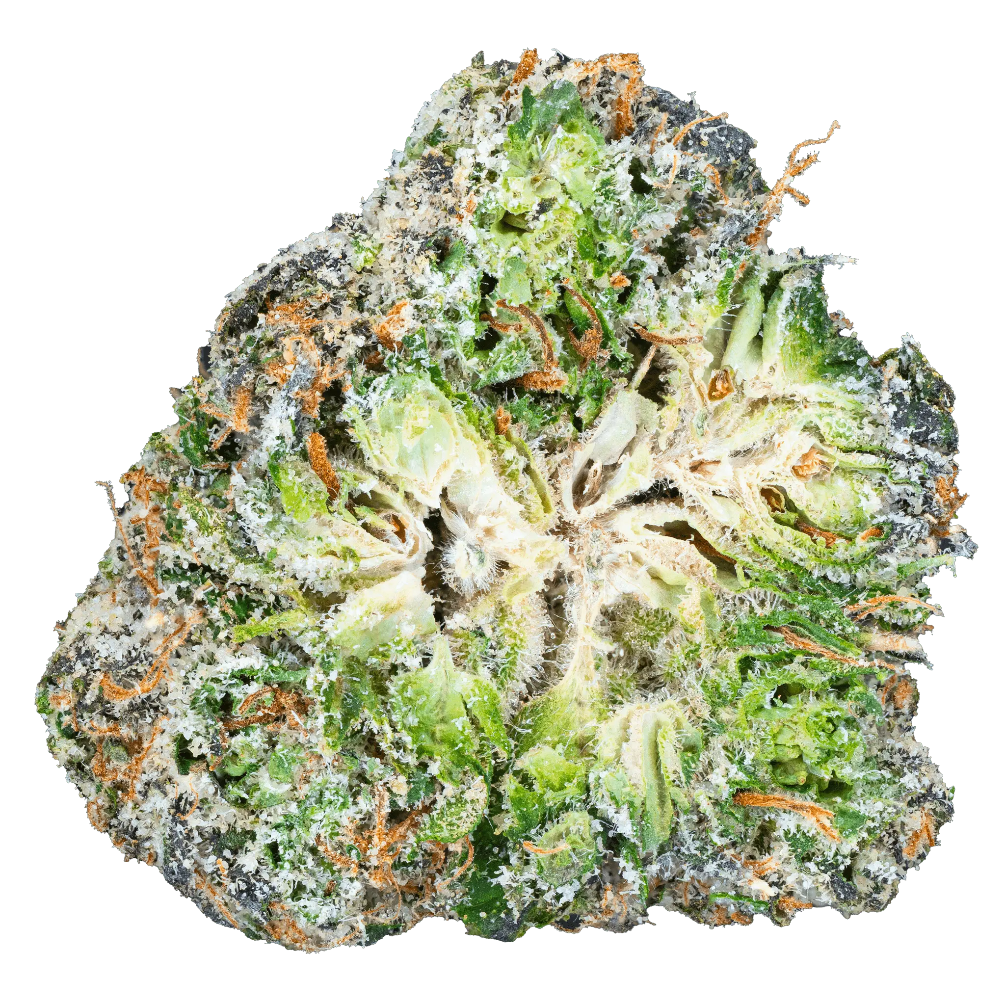 Zoap – THCa Flower - Image 9